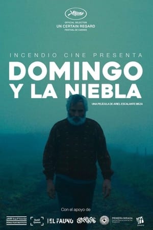 Domingo y la niebla