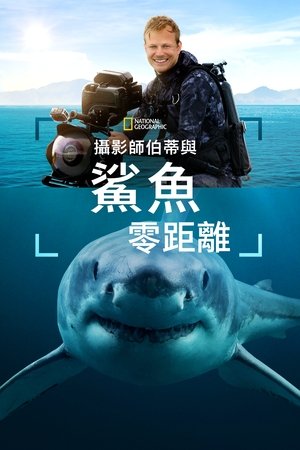 Sharks Up Close with Bertie Gregory