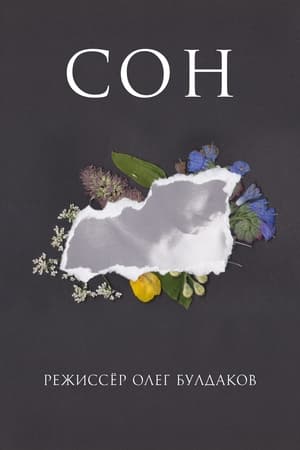 СОН