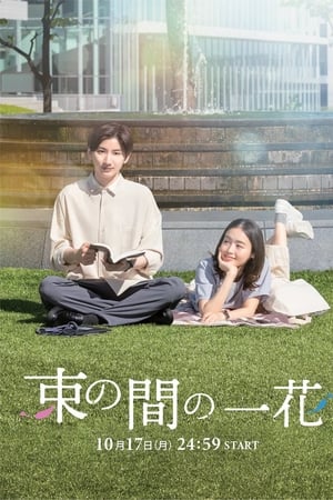 一霎一花