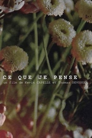 Ce que je pense