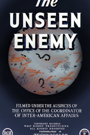 Health for the Americas: The Unseen Enemy