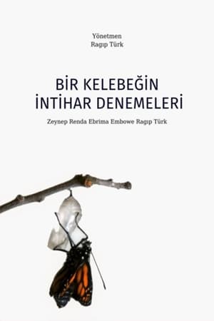 Bir Kelebeğin İntihar Denemeleri