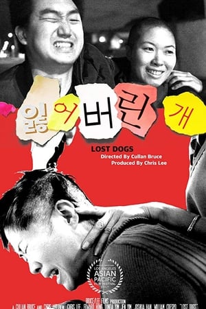 잃어버린 개