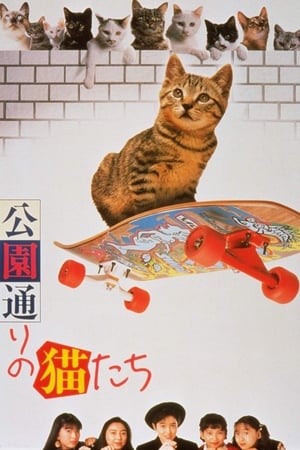 公园路的猫们