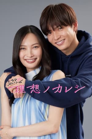 理想男友