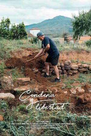 Condena y libertad