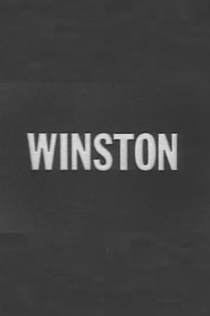 Winston