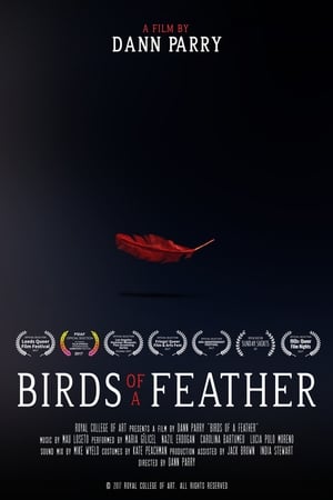 Birds of a Feather