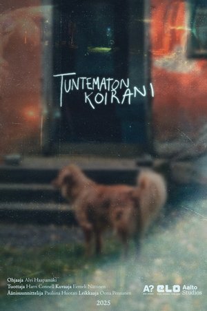 Tuntematon koirani