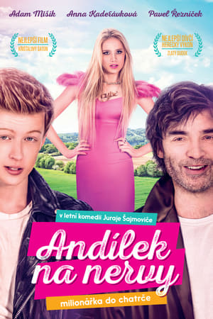 Andílek na nervy