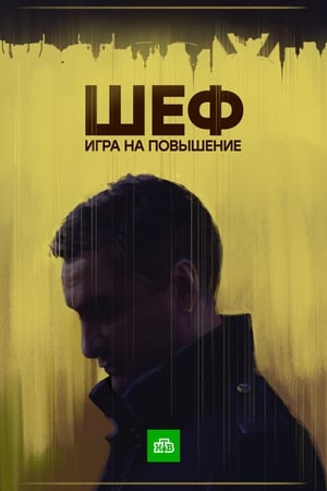 Шеф第4季