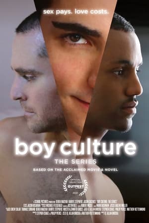 Boy Culture: The Series