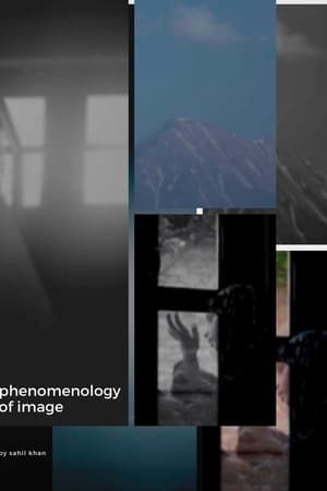 Phenomenology of Image