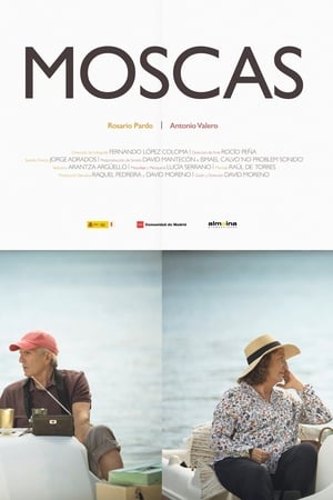Moscas