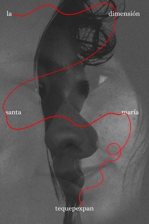 la dimensión Santa María Tequepexpan