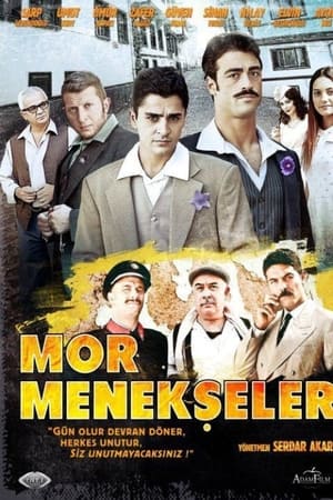 Mor Menekşeler