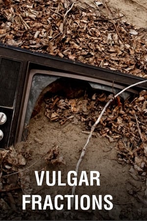 Vulgar Fractions
