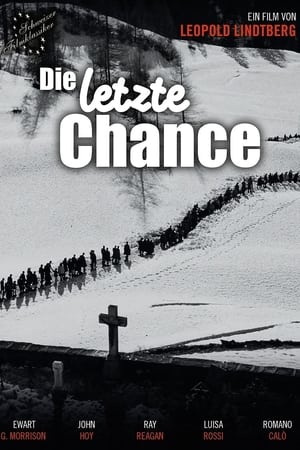 最后的机会