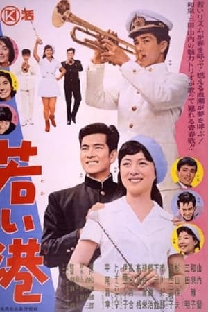 若い港