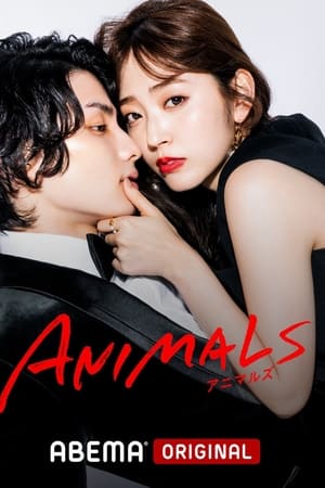 ANIMALS-动物