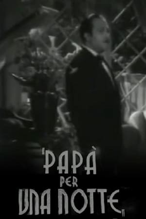 Papà per una notte