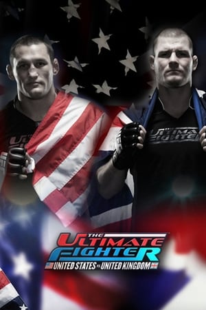 The Ultimate Fighter第9季
