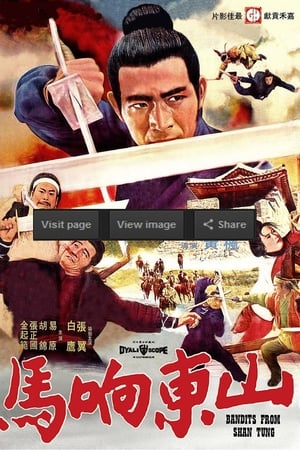 山东响马