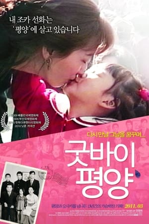 굿바이, 평양