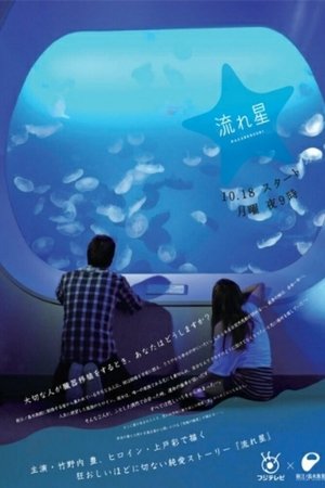 流星