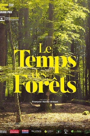 Le Temps des Forêts