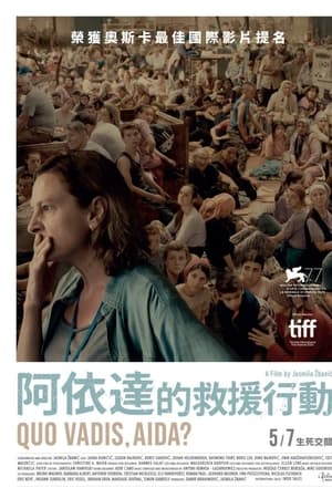 阿伊达，你往何处去？