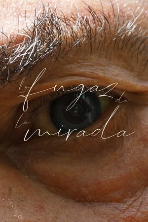 Lo fugaz de la mirada