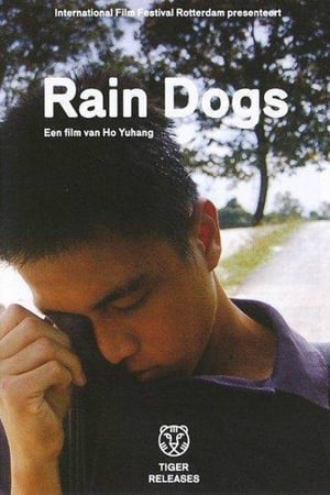 太陽雨