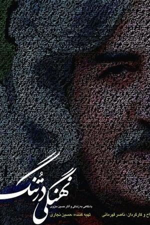 نهنگی در تنگ