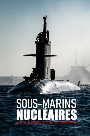 Sous-marins nucléaires  : Les armes de l'ombre