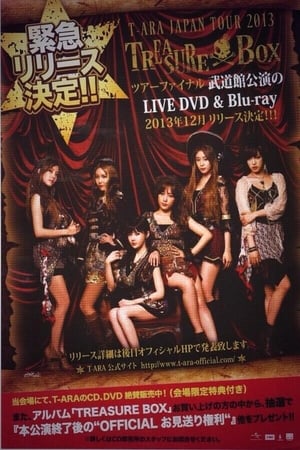 T-ARA 2013 日本武道馆演唱会
