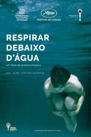 Respirar Debaixo d'Água