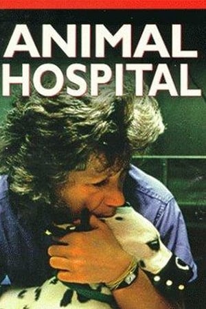 Animal Hospital