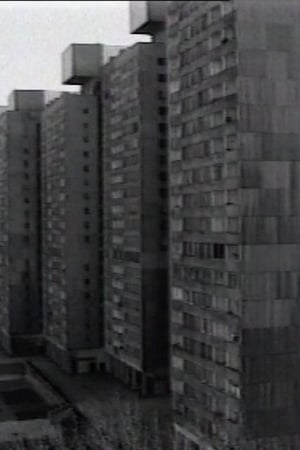 Z mojego okna