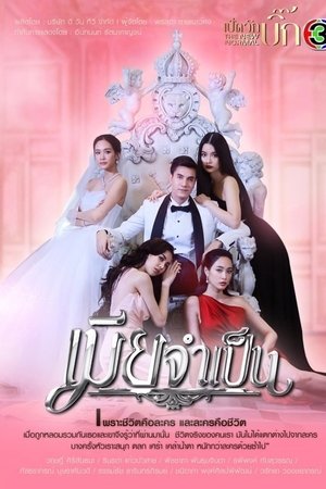 必要的妻子