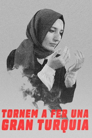 Tornem a fer una gran Turquia