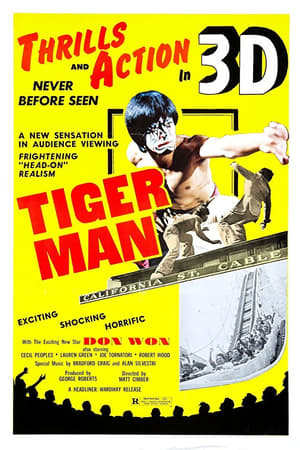 虎面侠3D