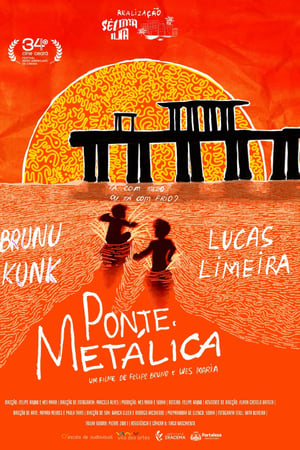 Ponte Metálica