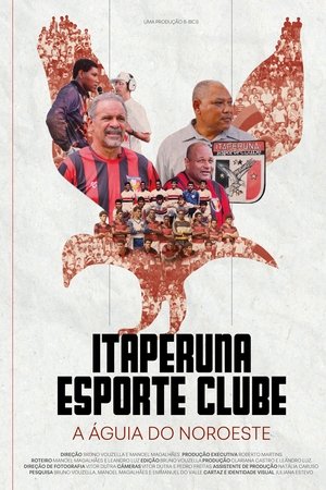 Itaperuna Esporte Clube - A Águia do Noroeste