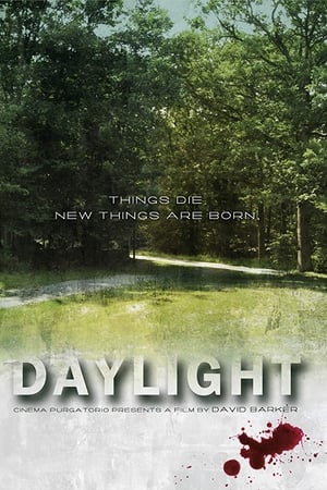 Daylight