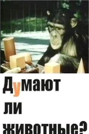 Думают ли животные?