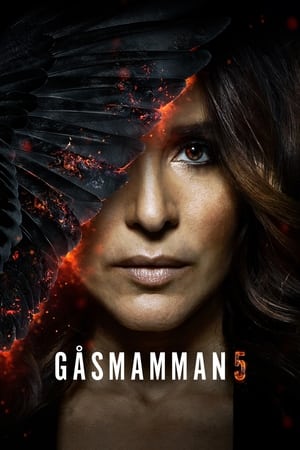 Gåsmamman第5季