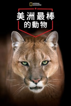 America's Greatest Animals