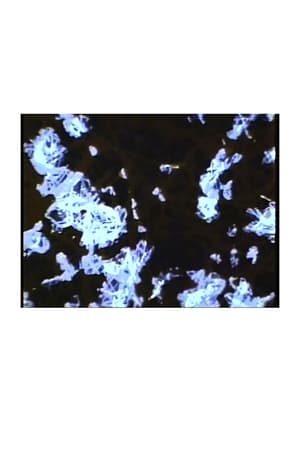 What The Water Said, Nos. 4-6